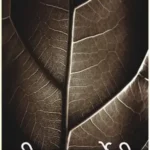 Aalap Mein Girah_701