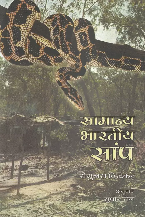 Samanya Bhartiya Saanp_3721