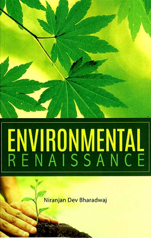 Environmental-Renaissance_4358