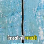 Kisson Ki Pagdandi_7043